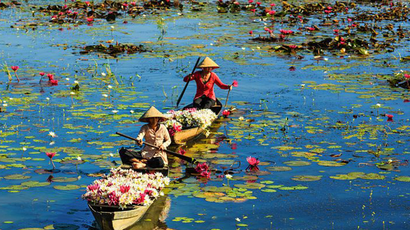 Ảnh thiên nhiên Việt Nam 3